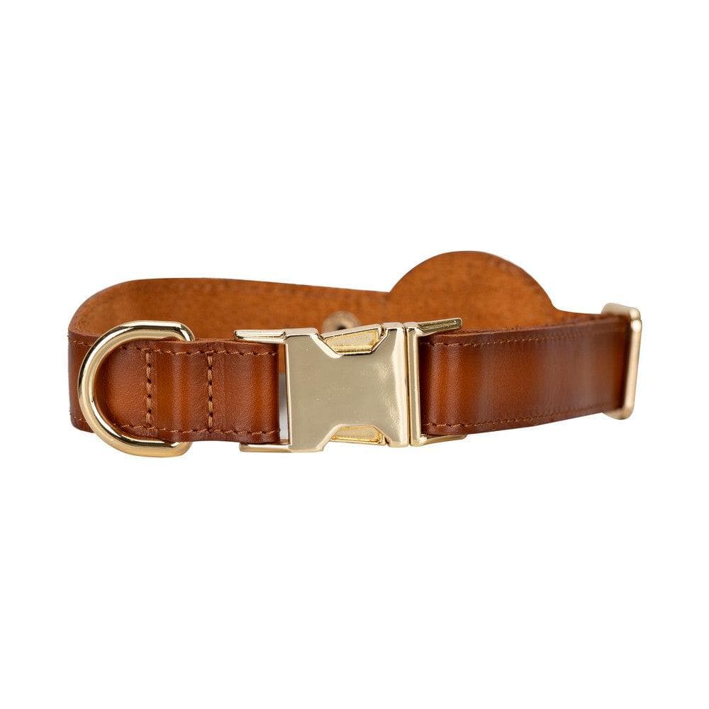 Leather Dog Collar – Full-grain leather – view 6
